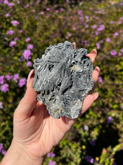 Black Kyanite