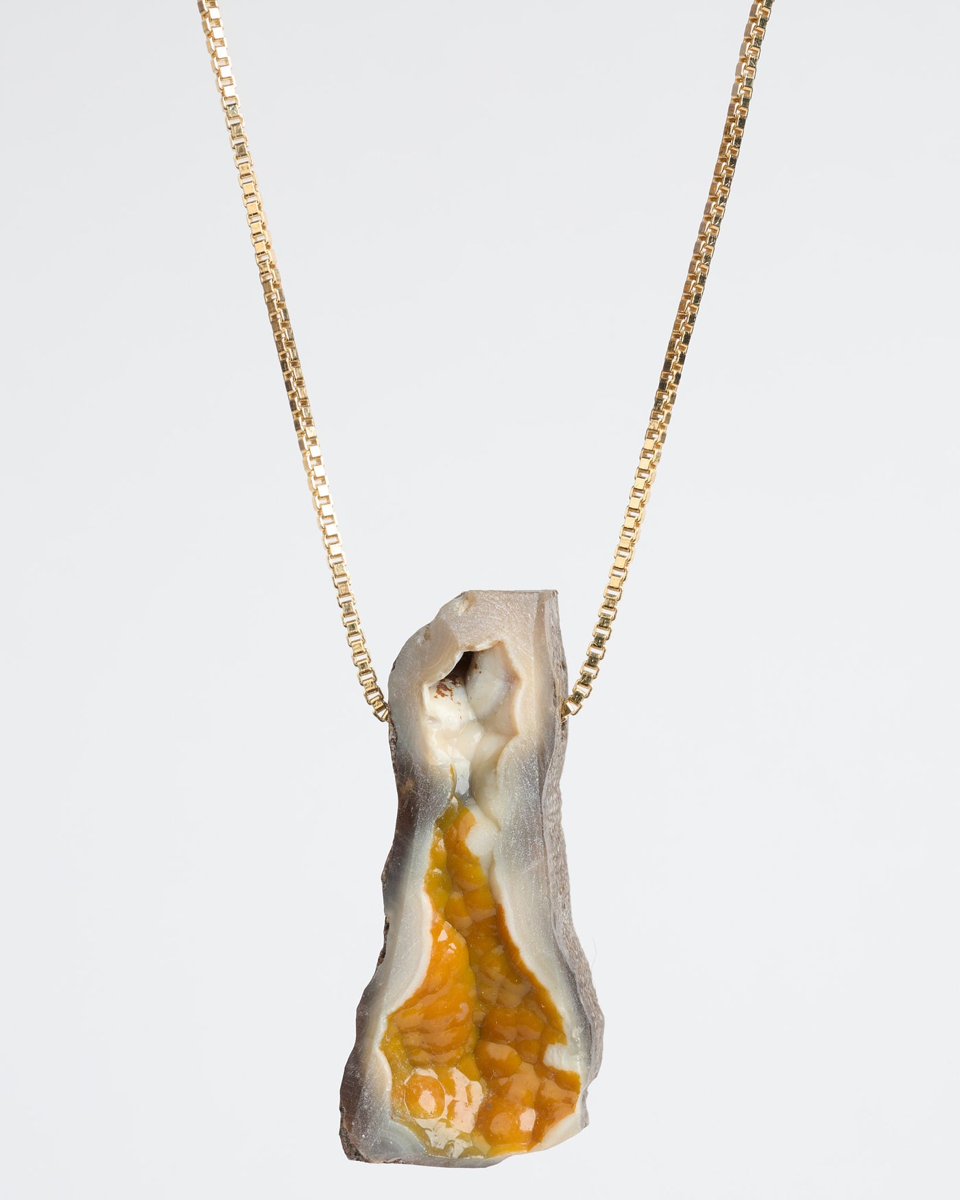 Agatized Coral Pendant