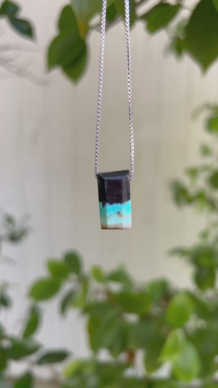 Opalized Wood
