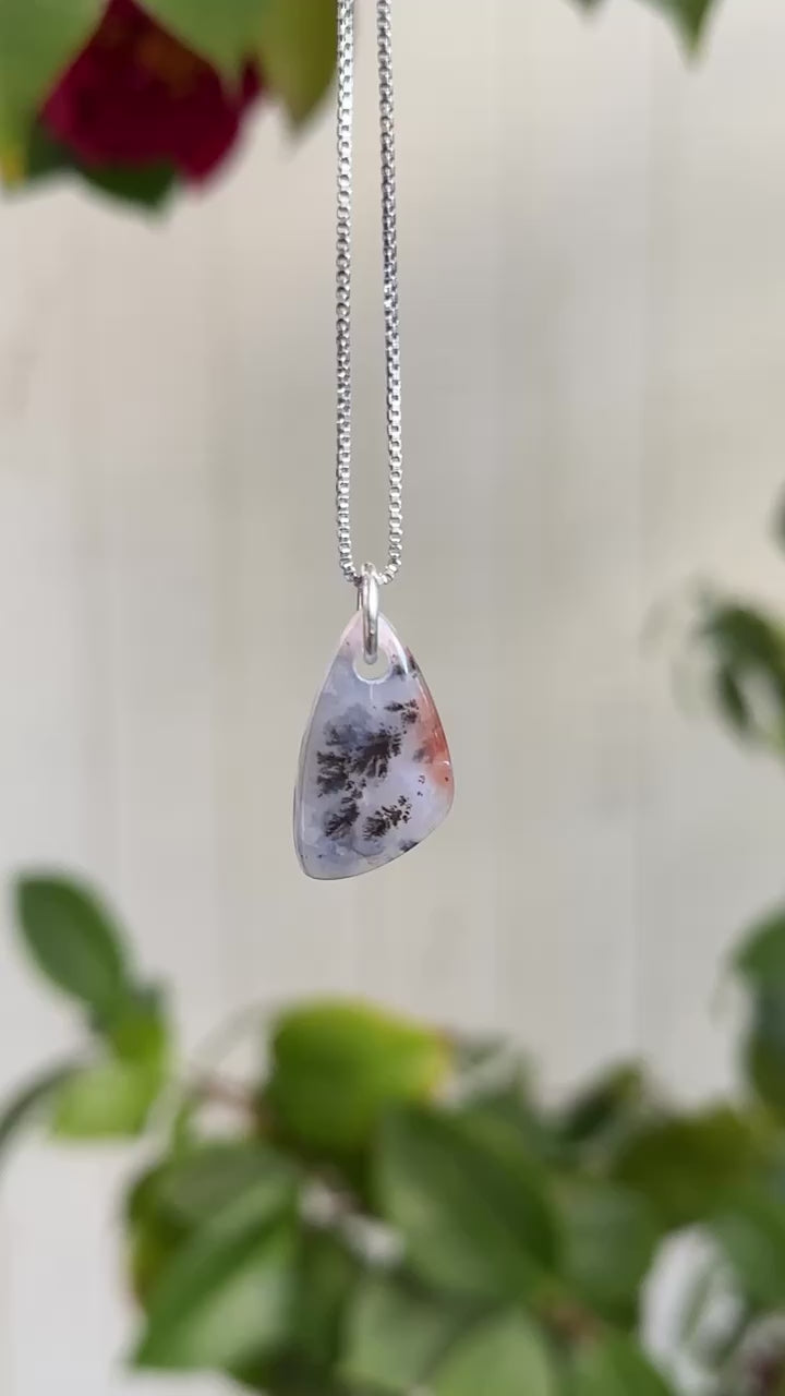 Dendrite in Agate