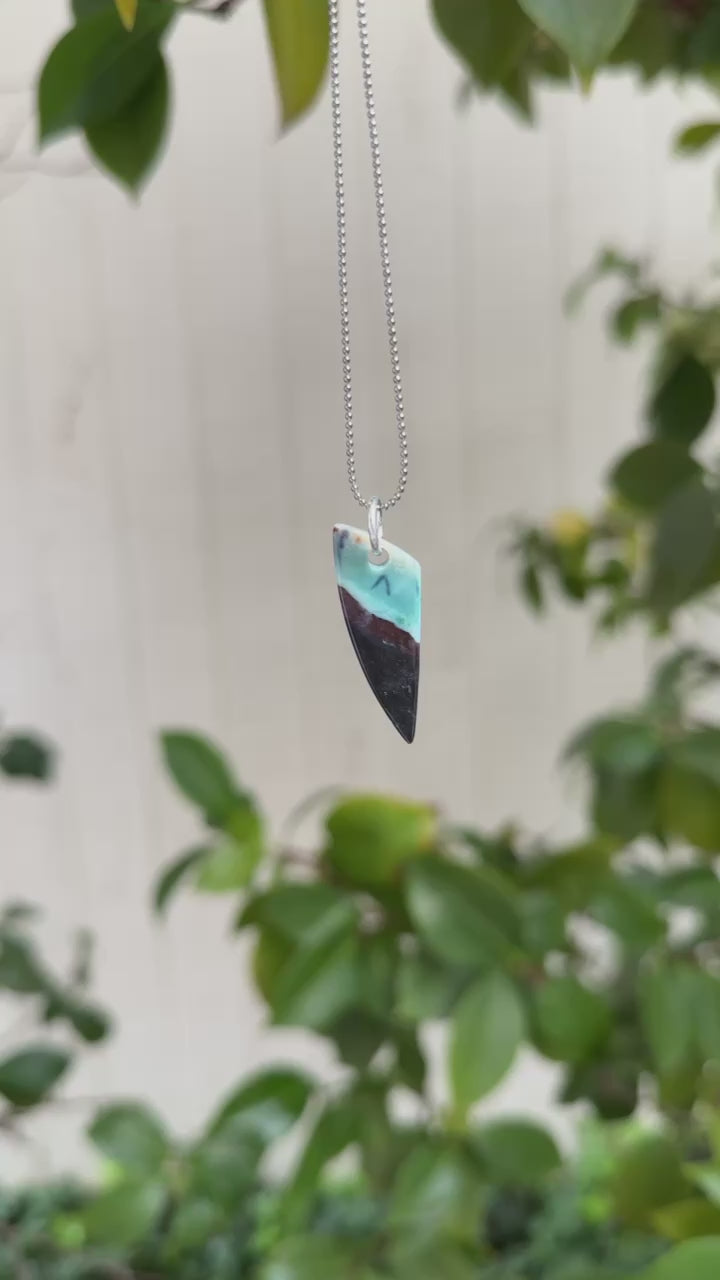 Opalized Wood